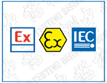 Regarding the person responsible for explosion-proof authorization in the IECEx and ATEX certification systems
